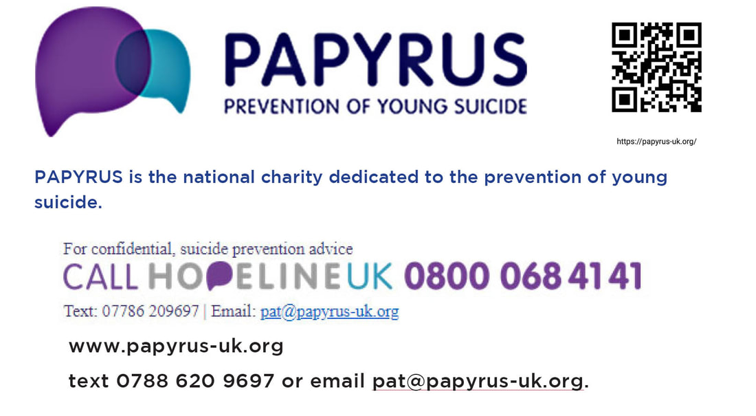 Banner linking to Papyrus, a charity concerned with suicide in young people